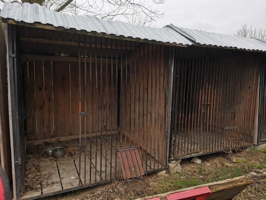 Kojec dla psa. Masywny