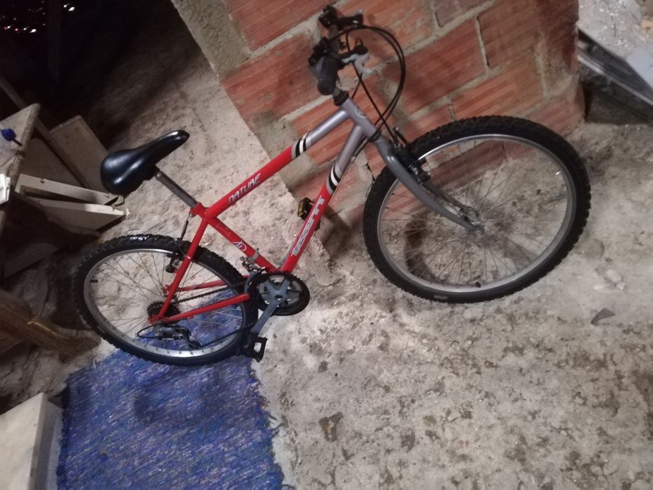 Bicicleta  / montanha ?