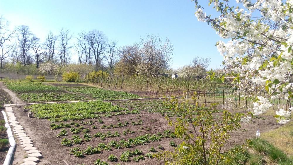 Продам Дачу Каневское 20 соток