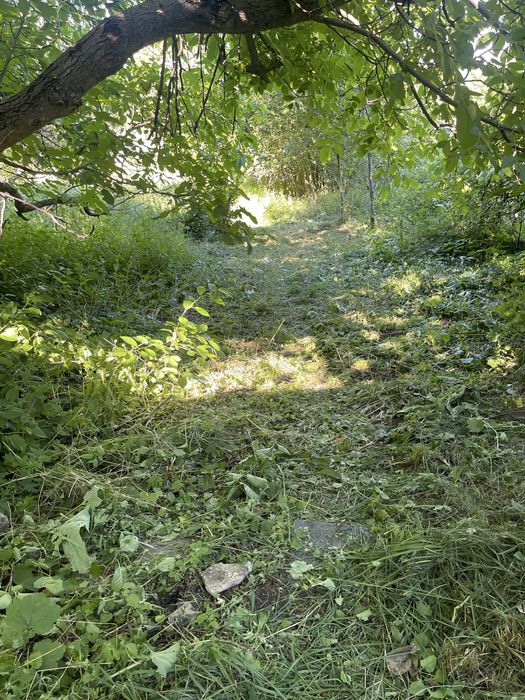 Будинок в селі Бужанка, Звенигородського (Лисянського) району, Черкаськоі області.   газифікований.