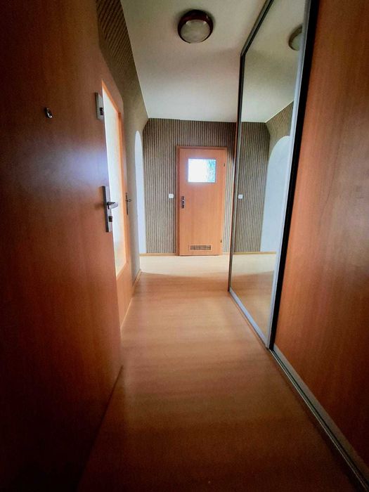 Mieszkanie do wynajęcia