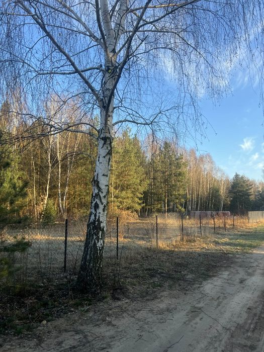 Działka budowlana 1200mk Puszcza Mariańska - Widok 4