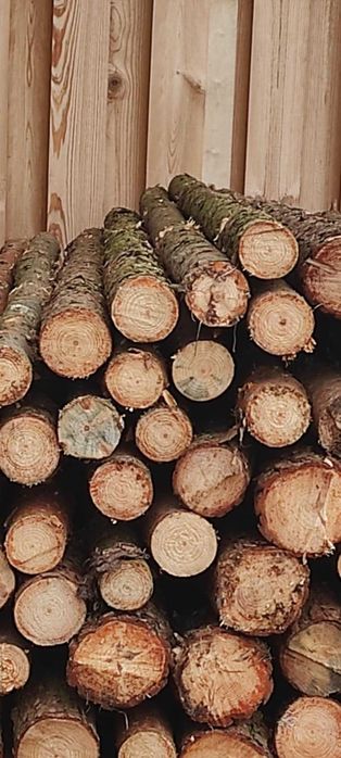 słupki ogrodzeniowe / stemple budowlane