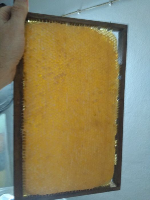 Mel produção própria