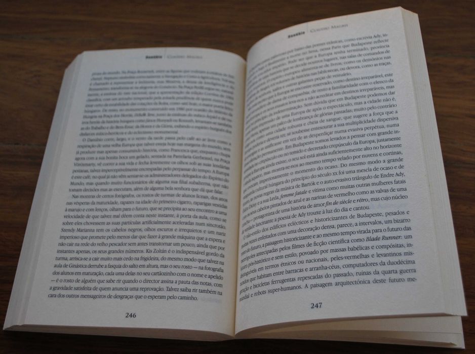 Danúbio de Cláudio Magris