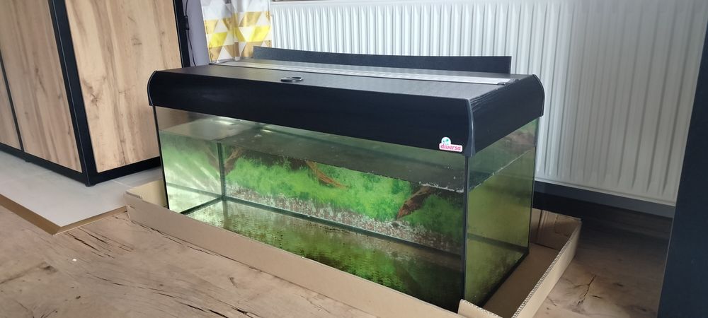 Akwarium 160 litrów wraz z osprzętem