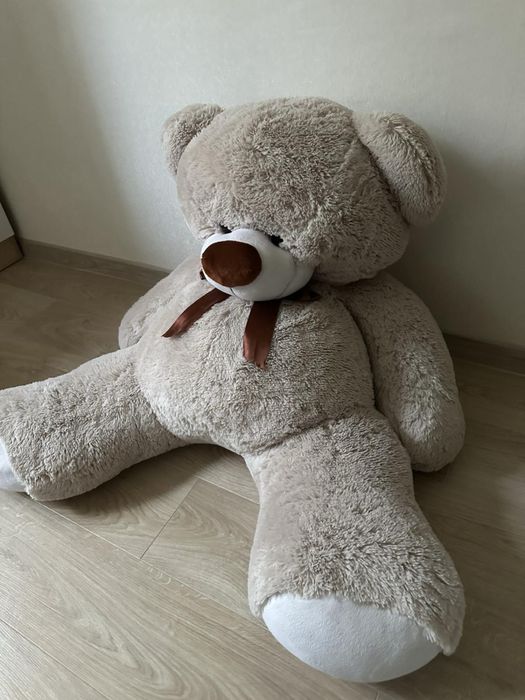 Плюшевий ведміть