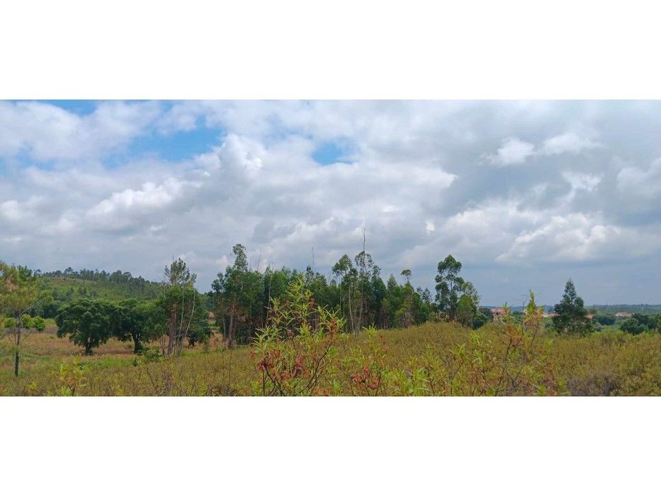 Terreno Rústico com 101.160 m² em Mação - Cabeço da Cruz — Mação, Penhascoso E Aboboreira, Santarém