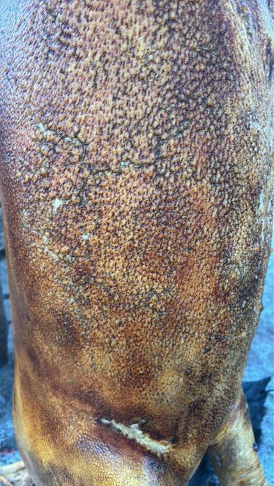 Домашнє сало на соломці