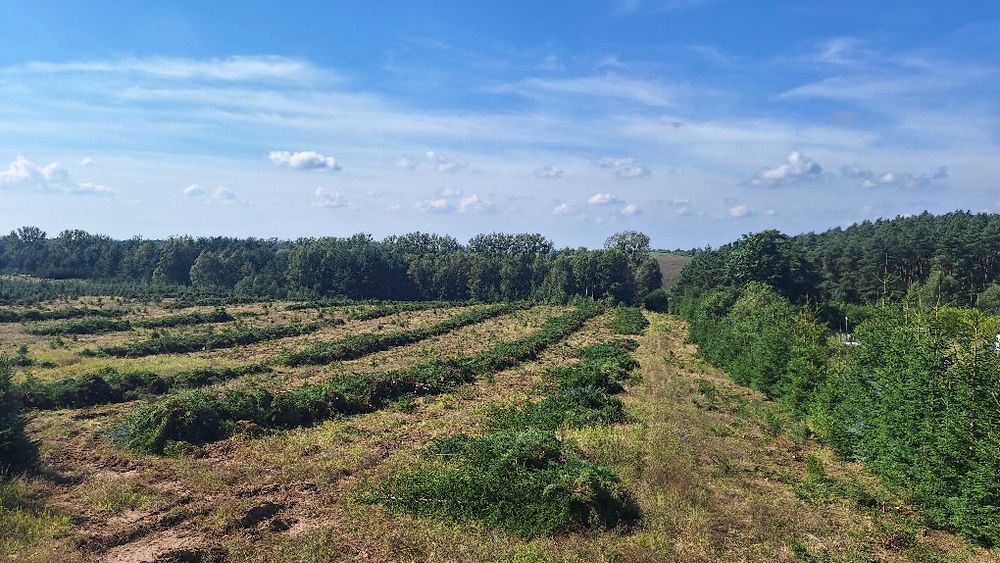 działki budowlane Steklinko