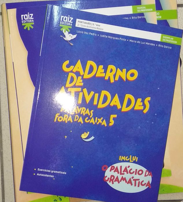 Palavras fora da Caixa 5º - Professor NOVO