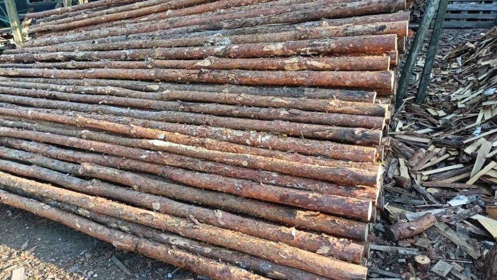 Paliki pod drzewka , pomidory, do grochu wysokie 3m