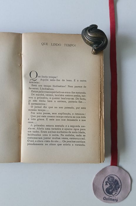 Título qualquer serve, Irene Lisboa