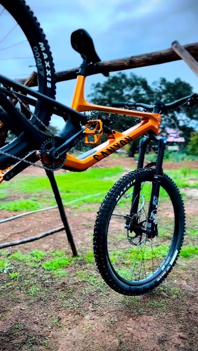 Bicicleta BTT Canyon spectral cf cllctv 8 2024