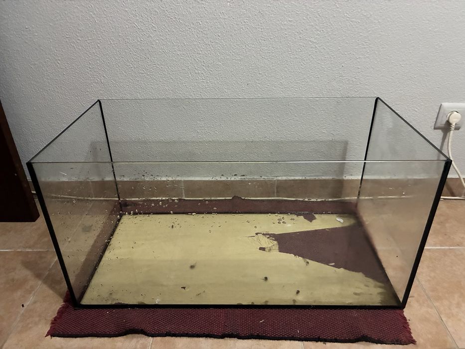 Aquário de aquariofilia