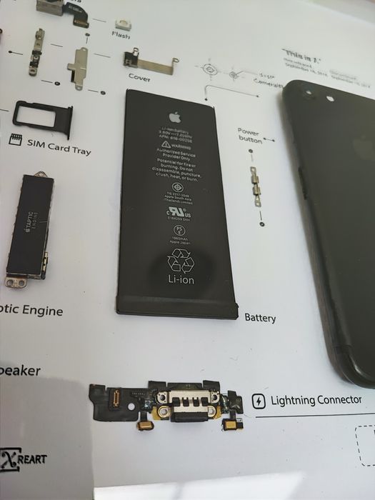 Disassembled iPhone 7 Diagram Frame64739217365635123