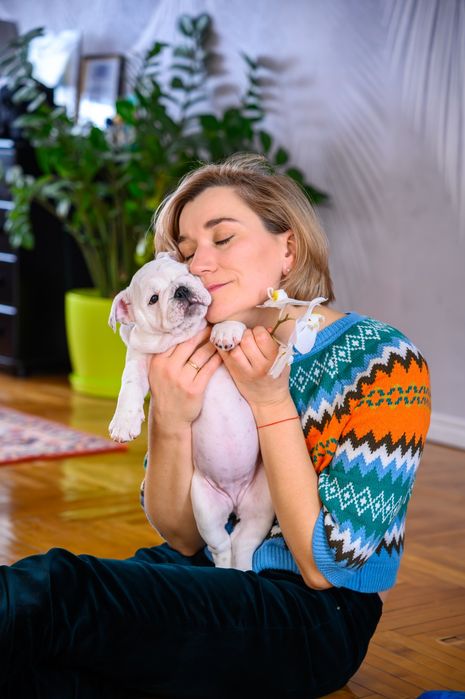 Чудові бульдожки