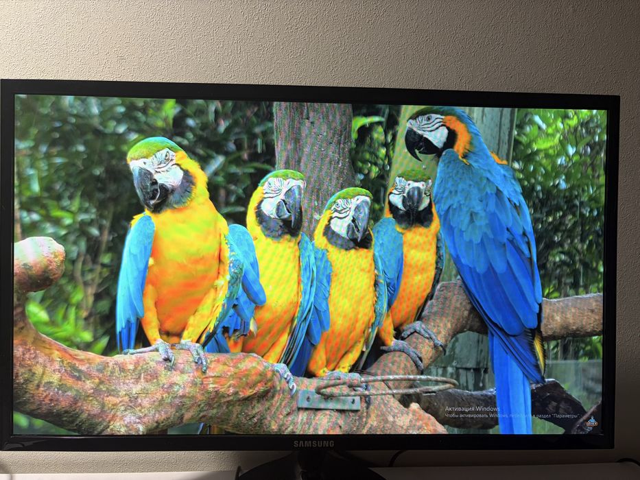Монітор samsung 24’