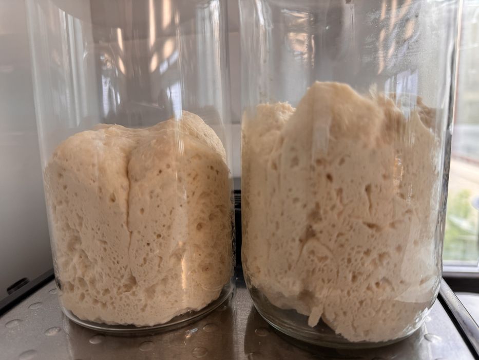 Закваска для хлеба и сдобы Левито мадре