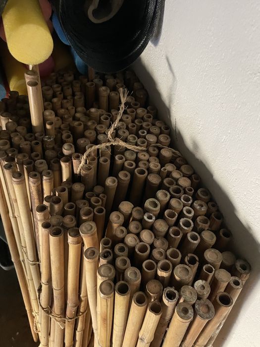 Bambu 100cm x 2 cm