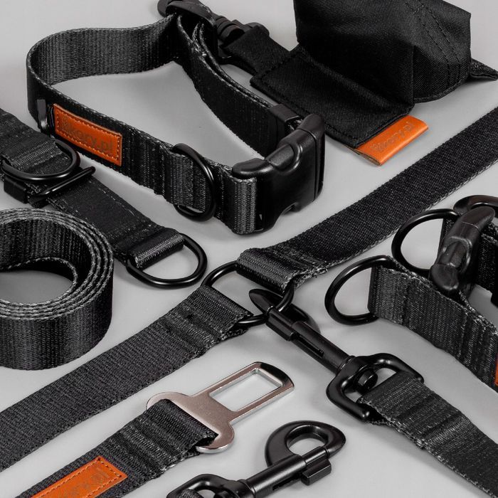 szelki guard dla kota brytyjskiego egzotycznego regulowane  czarne