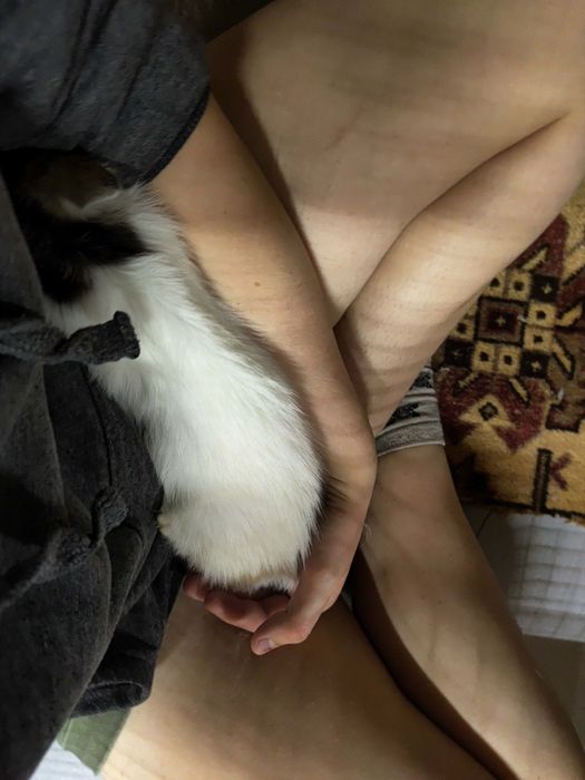 Malutki Purchawka marzy o własnym domu