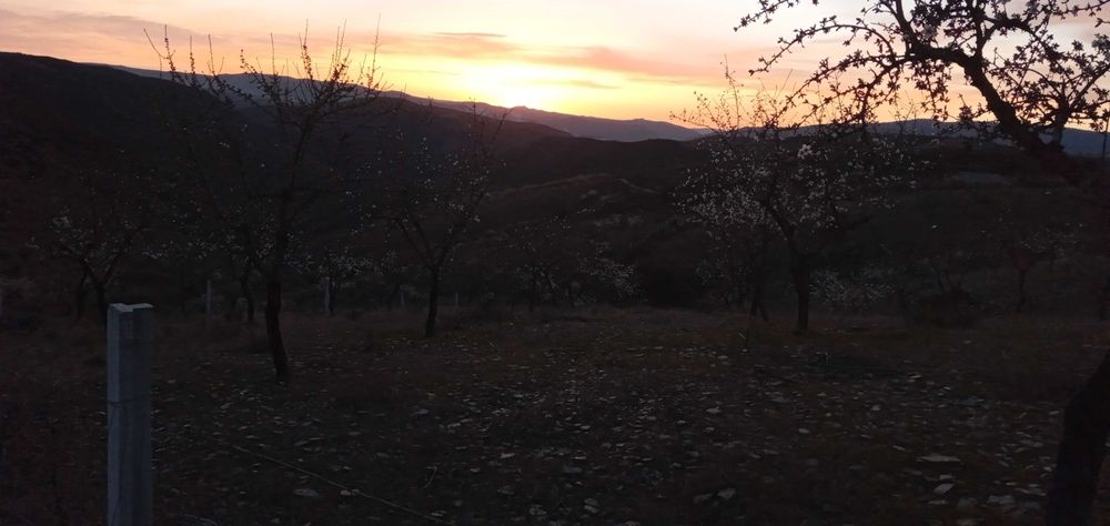 Terrenos agricolas DouroBragança- Torre Moncorvo- Açoreira Desde 1950E
