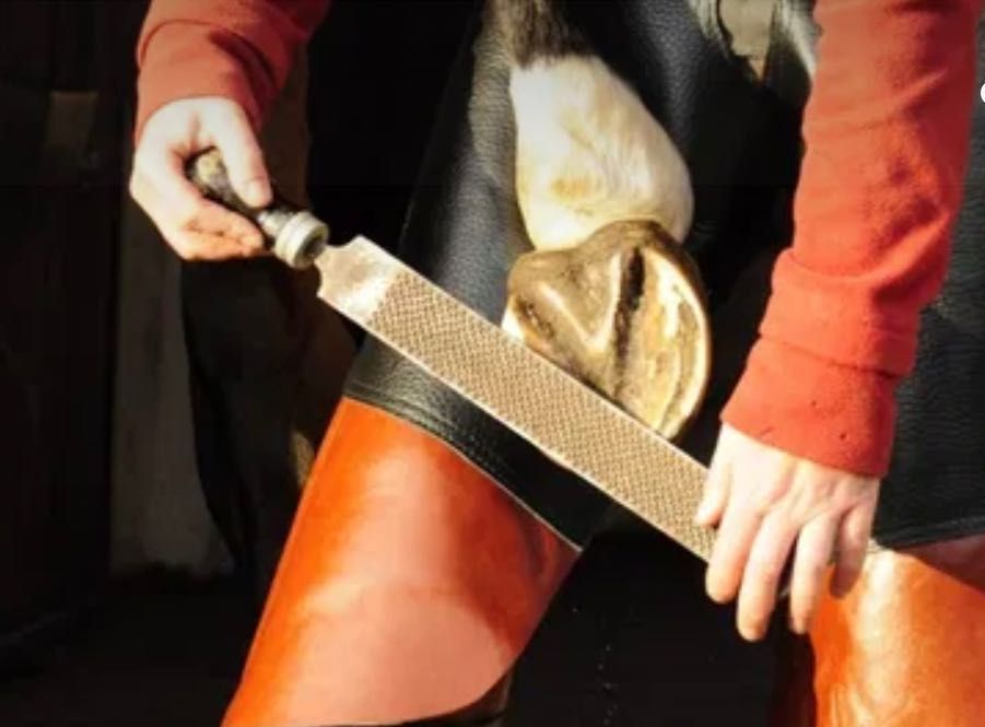 Fartuch kowalski skórzany