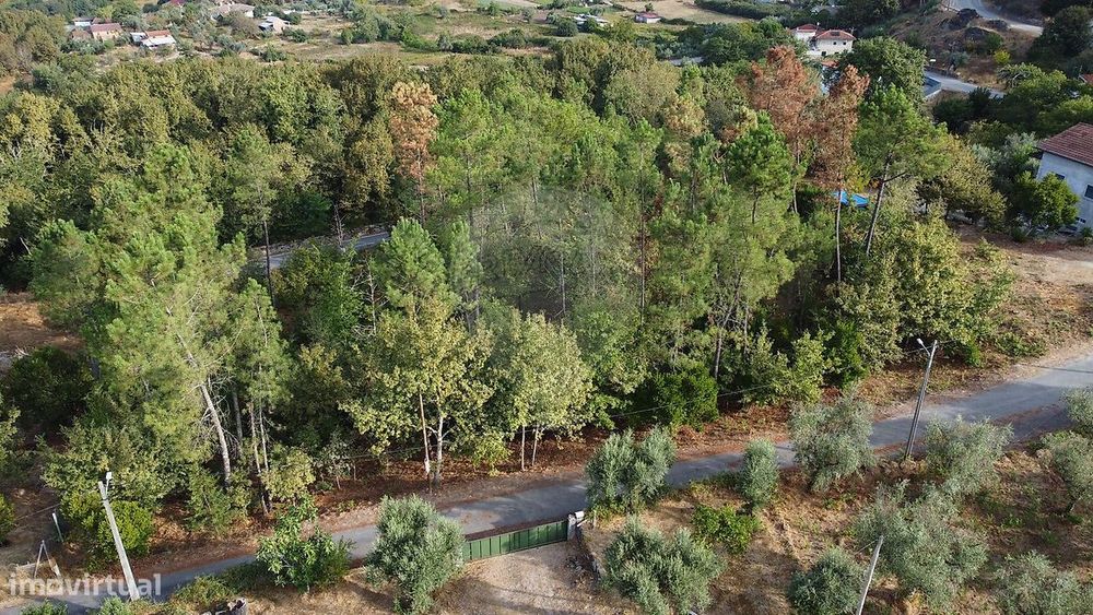Terreno  para venda — São Cipriano E Vil De Souto, Viseu