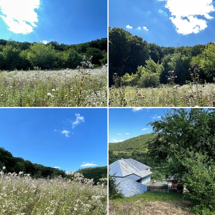 Будинок та земельні діл. у природному заповіднику