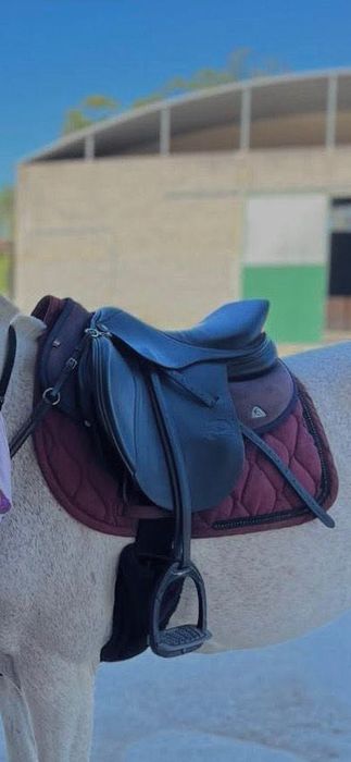 Sela de salto privilège para cavalos