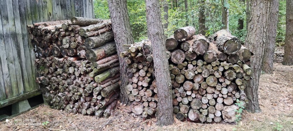 Suche drewno opałowe