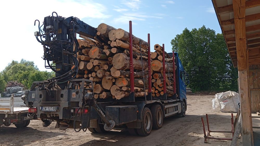 buk, jesion,dąb - kłody, dostawa