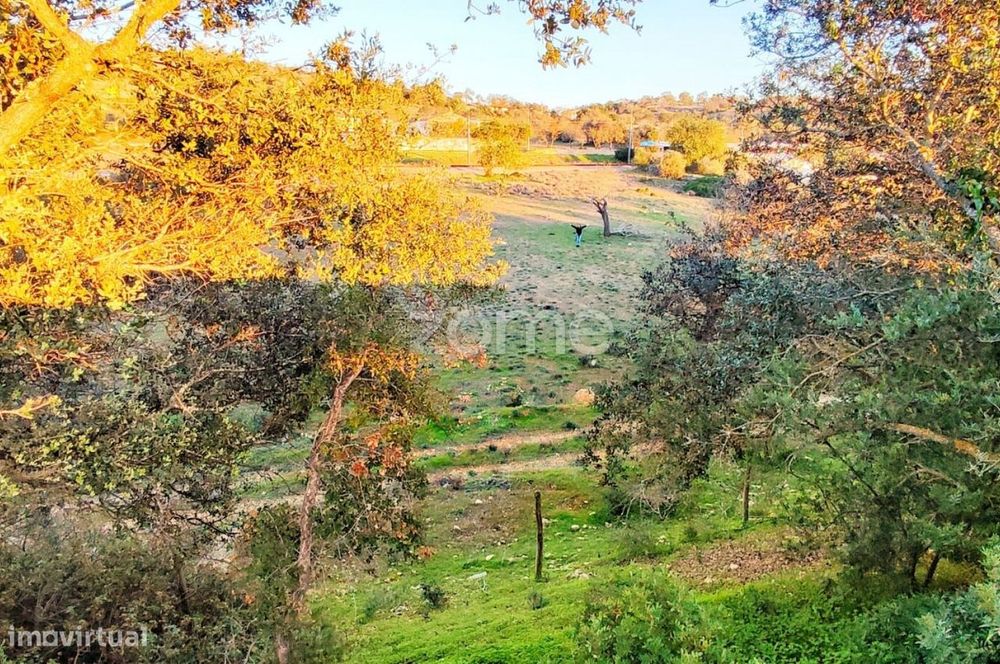 Terreno Rústico – Tunes, Silves | 1.480 m²