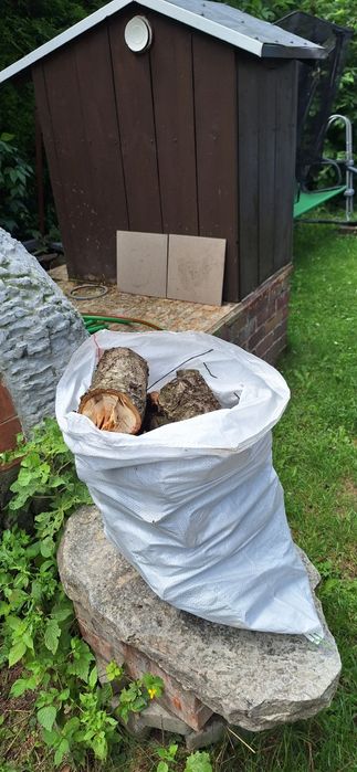 Drzewo wiśni w worku