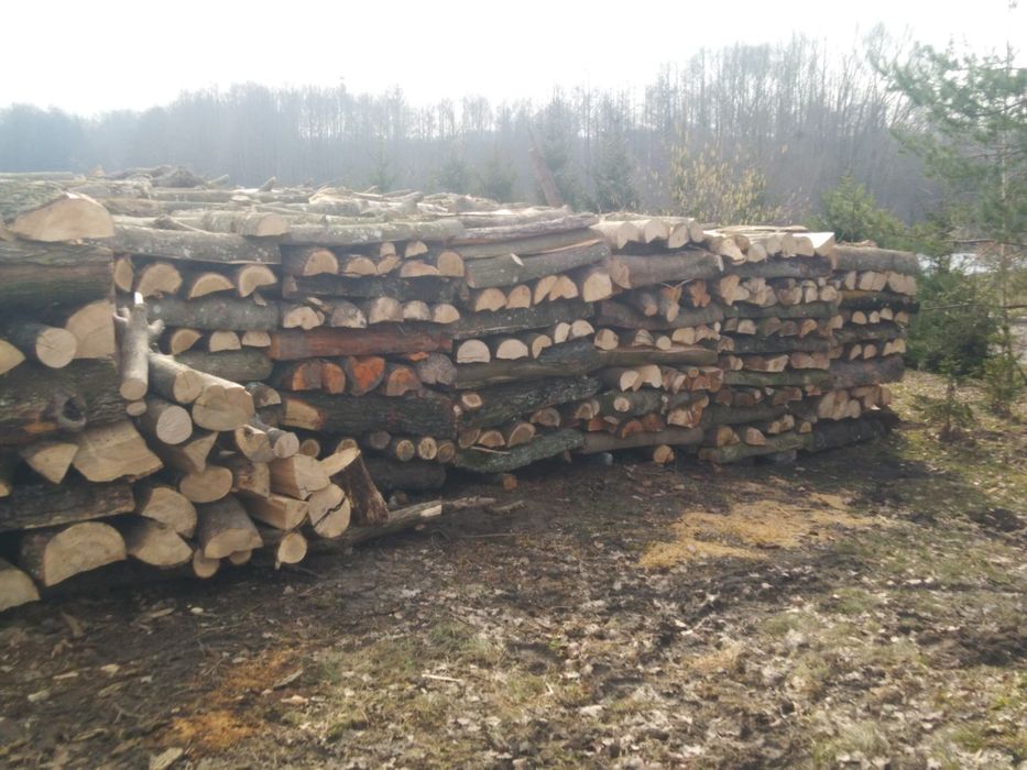 Opał klon,,dąb,olcha