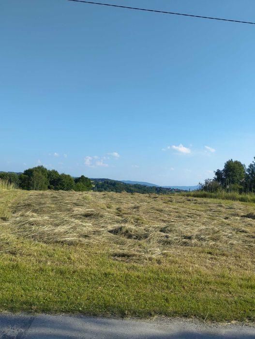 Działka budowlana z domkiem letniskowym - Widok 4