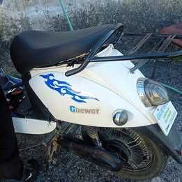 Moto eletrica GUEWER