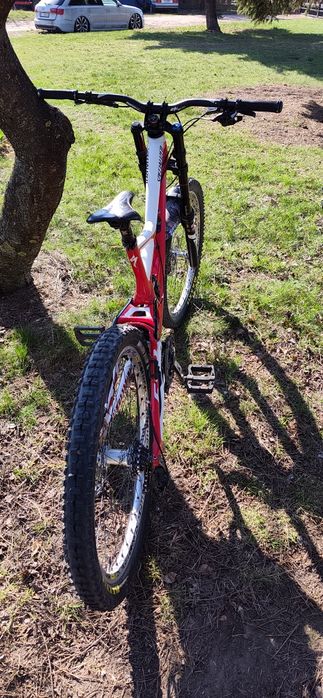Specialized Demo 8 2013 rama L