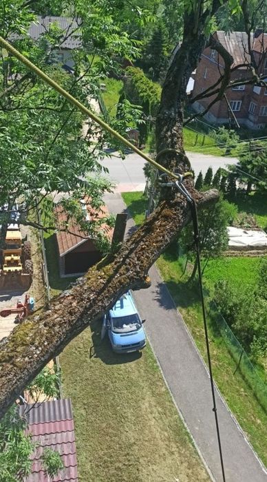 Wycinka i Przycinka Drzew Trudnych