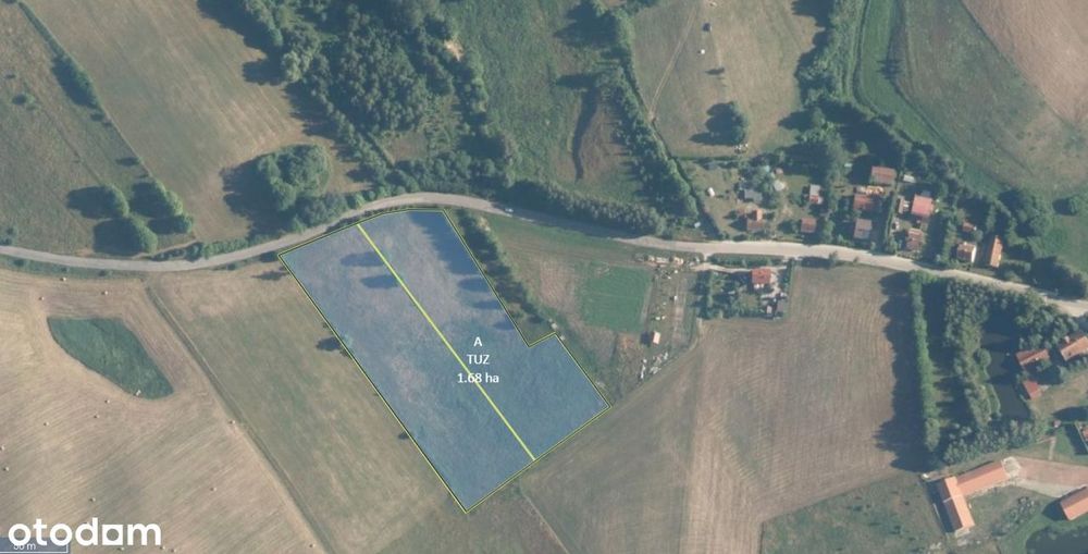 Atrakcyjne działki z warunkami zabudowy położone przy jeziorze. - Widok 2