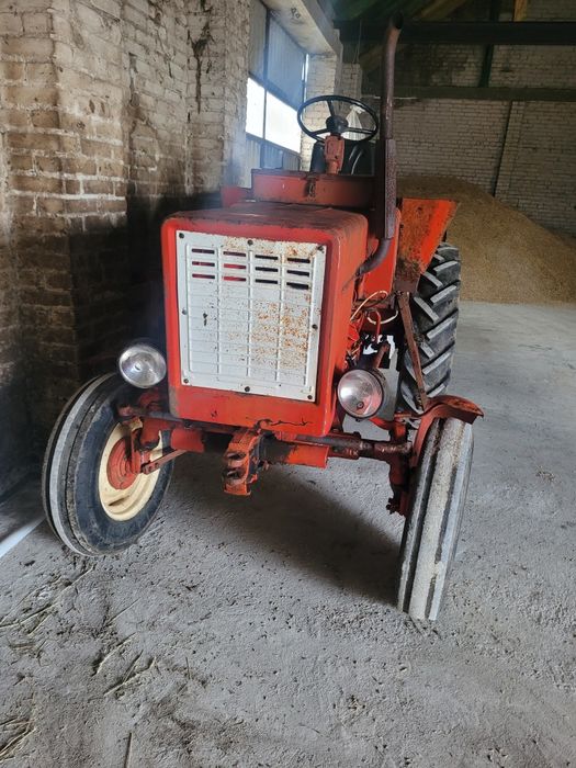 Wladymirec  t 25