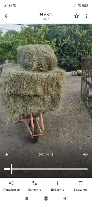 Сіно разнотравіє