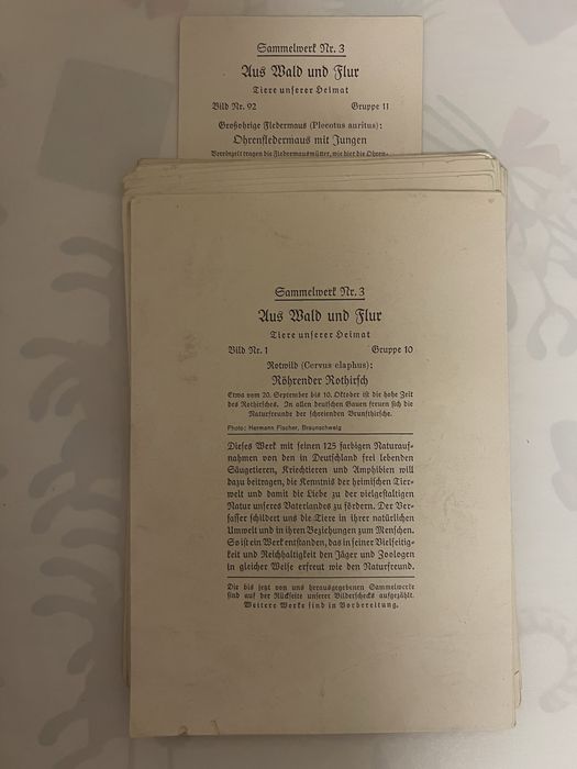 Niemiecki album botaniczny 1937 Aus Wald und Flur