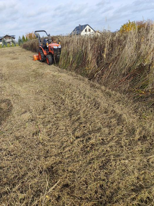 Koszenie traw, zarośli, koszenie nieużytków Płock