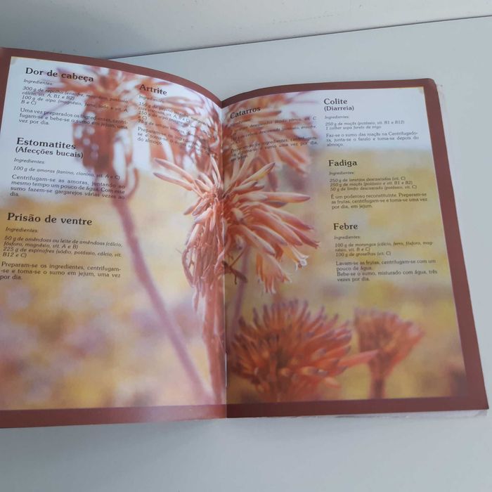 Livro Moulinex Em Forma com Frutas e Verduras