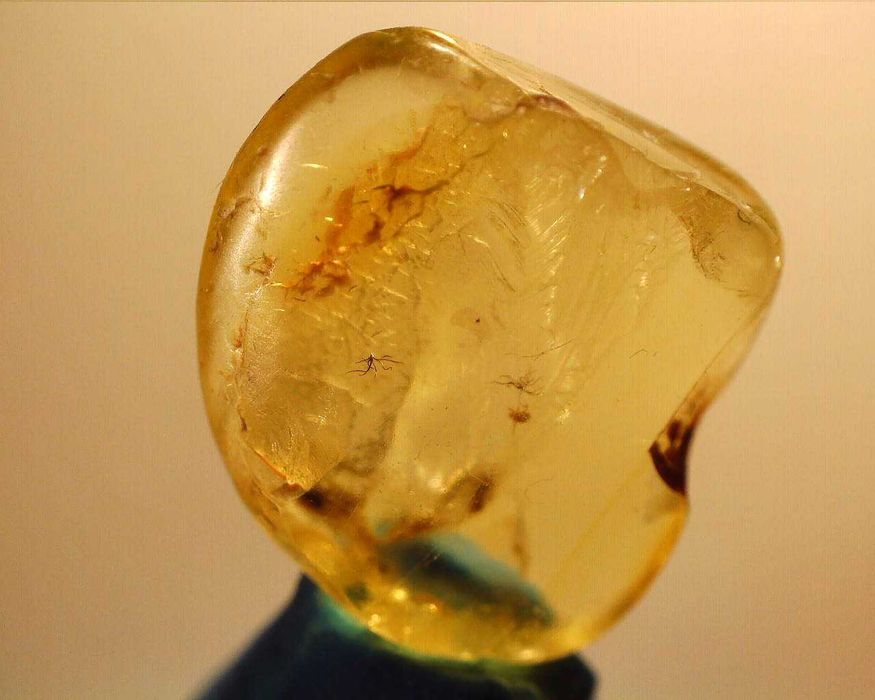 Bursztyn inkluzja nieznany Alien