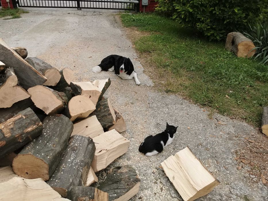 Drewno Opałowe Kominkowe Buk Grab Sezonowany Transport