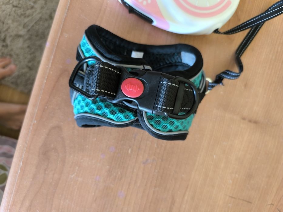 Arnes e trelha extensível