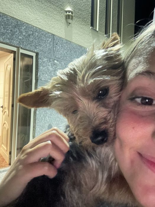 Petsitting e dogwalking